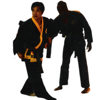 Hapkido - World Chun Ki Do Association